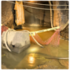 Picture of MINE SLIME REMOVAL & PUMPING SERVICE